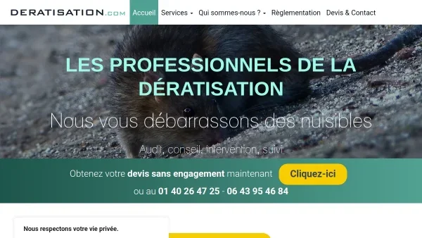 La dératisation à Paris