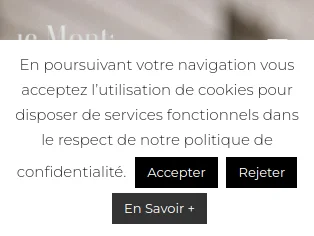 Les défilés de mode de 2012 en France