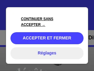Elections départementales : vers une dématérialisation