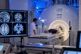 L'IRM Iseult capte ses premières images du cerveau en pleine activité