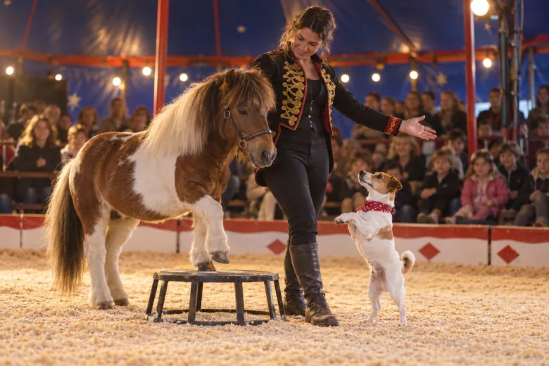 Les animaux autorisés au cirque