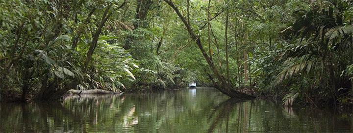 Un voyage au Costa Rica
