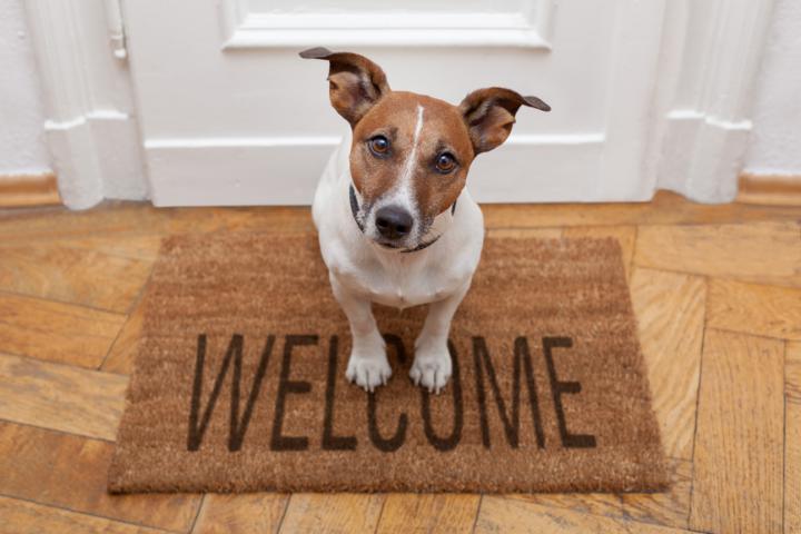 Bienvenu à la maison !