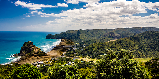 Visiter le parc naturel de Waitakere